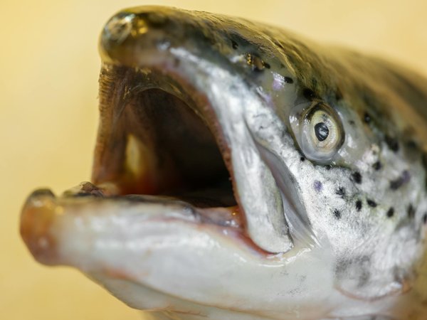 Les meilleures audioprothésistes à vitrolles pour votre confort